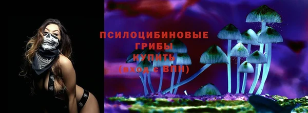прущая мука Зеленодольск