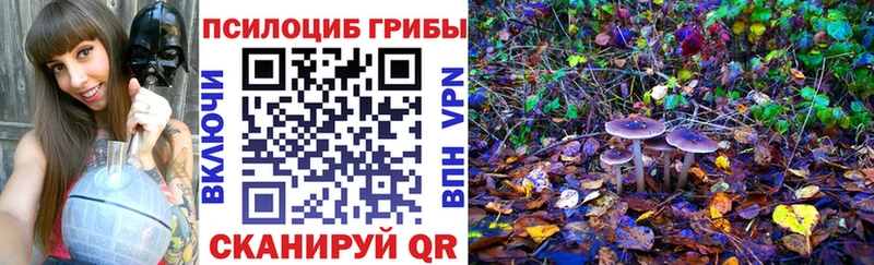 Купить  Уссурийск  Галлюциногенные грибы прущие грибы 